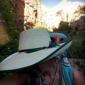 Meet your Posher, Tori